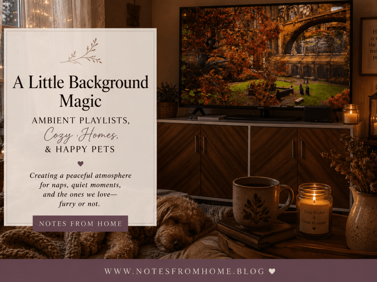 A Little Background Magic: Ambient Playlist, Cozy Homes, and Happy&nbsp;Pets